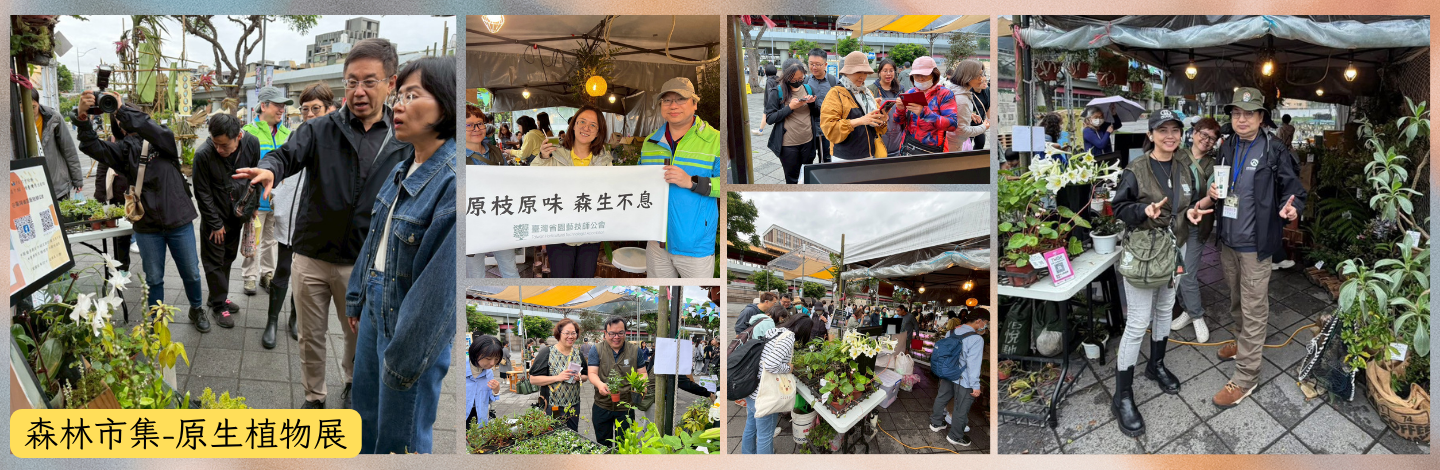森林市集 原生植物展 (2)