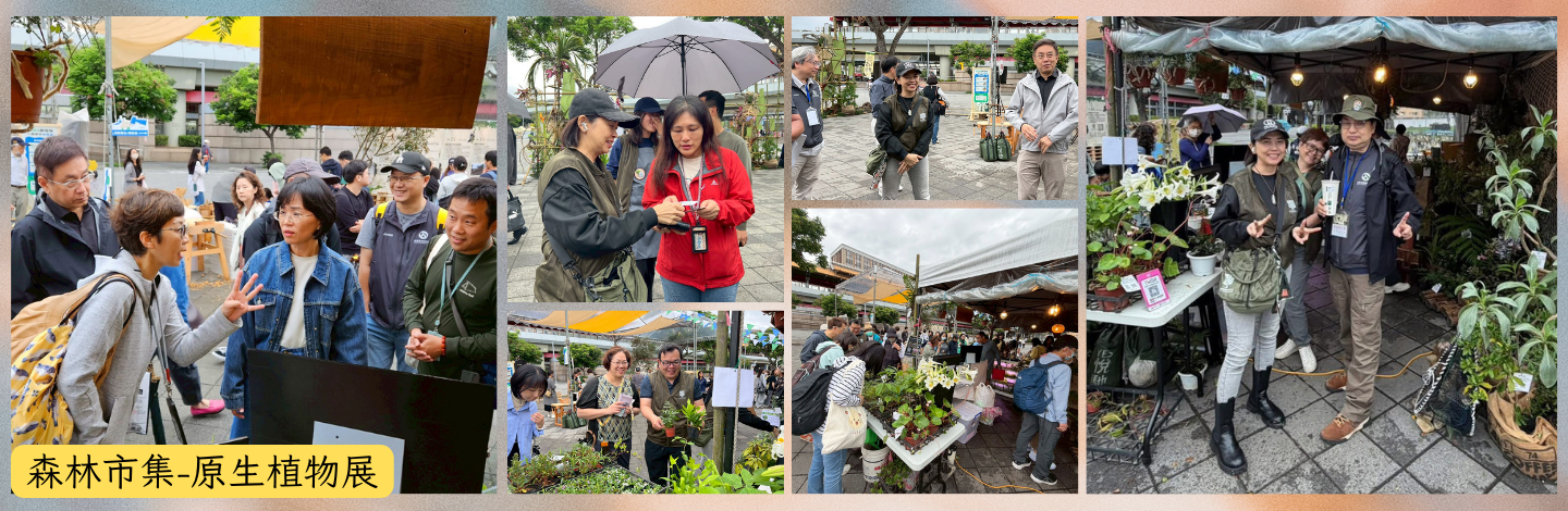 森林市集 原生植物展